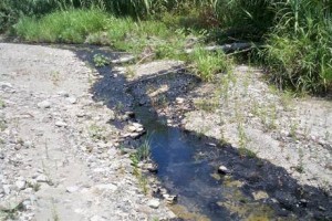Liquido inquinante sversato illegalmente nella fiumara Amusa a Caulonia