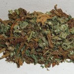 Marijuana_tobacco_mixture