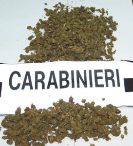 Droga: foto marijuana con scritta carabinieri, utilizzabile come generica