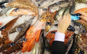 Seafood Expo Asia di Hong Kong