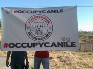 Occupy Canile