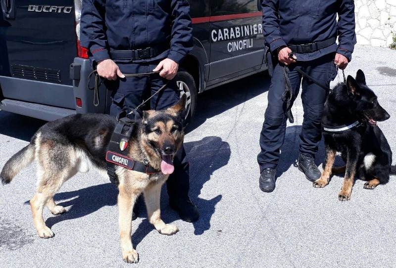 Messina, controlli a tappeto dei Carabinieri: arresti e denunce nella ... - Stretto web