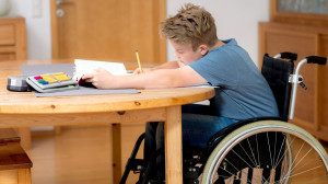 Studente disabile (1)