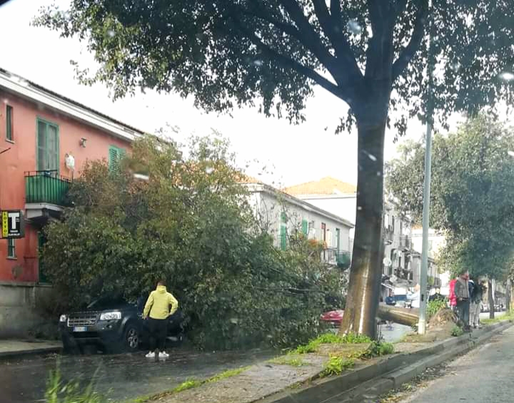 Il maltempo mette in ginocchio Messina: danni in tutta la città, mare in tempesta e decine di alberi schiantati [FOTO e VIDEO] - Stretto web