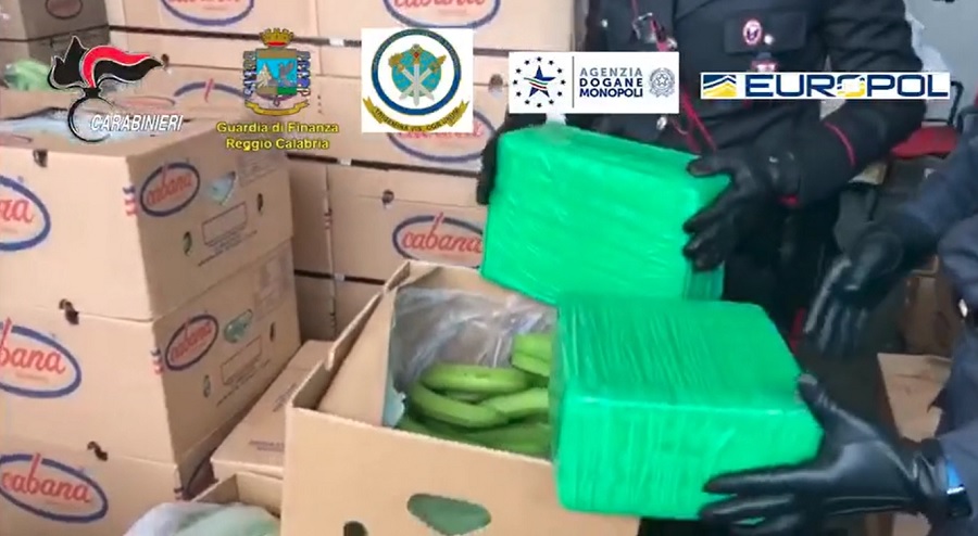 Reggio Calabria: droga nascosta tra le banane, sequestro record di cocaina al porto di Gioia Tauro [VIDEO] - Stretto web