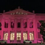 messina comune rosa palazzo zanca (1)