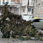 Reggio Calabria ramo di albero cade a Piazza Indipendenza