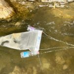 Marevivo iniziativa raccolta rifiuti Plastic Pirates – Go Europe!