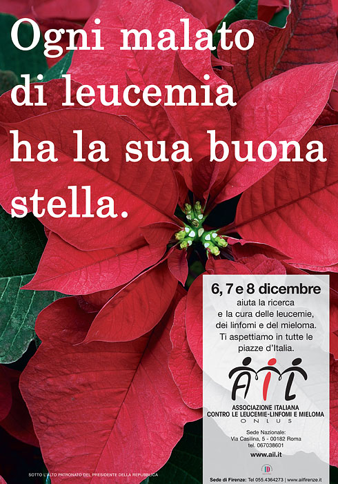 Stella Di Natale Piazze Italiane.Reggio Iniziativa Ail 6 7 8 Dicembre Stretto Web