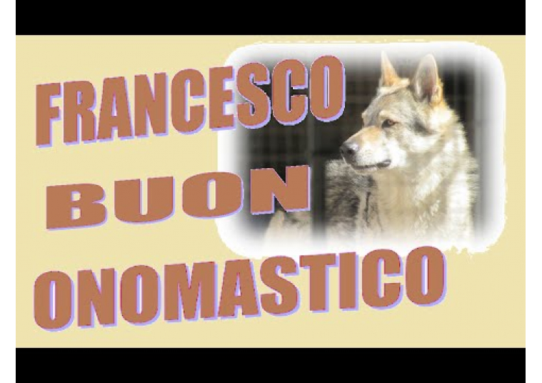 San Francesco Da Paola Immagini Video Frasi Per Gli Auguri Di Buon Onomastico Su Facebook E Whatsapp Gallery Stretto Web