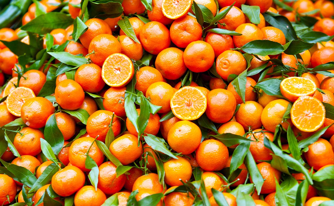 clementine di calabria