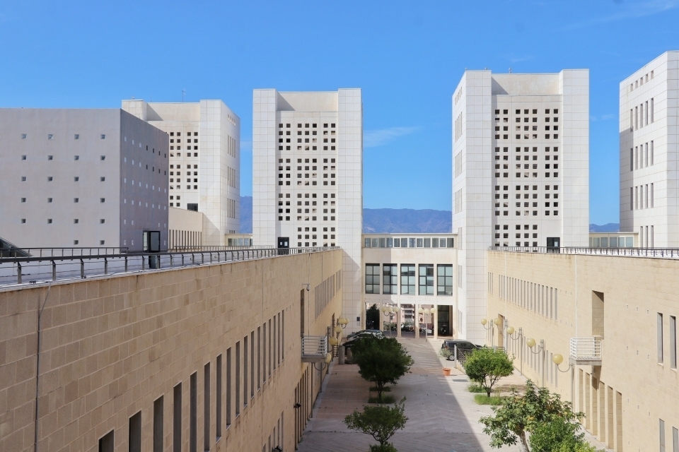 Architettura Università Mediterranea