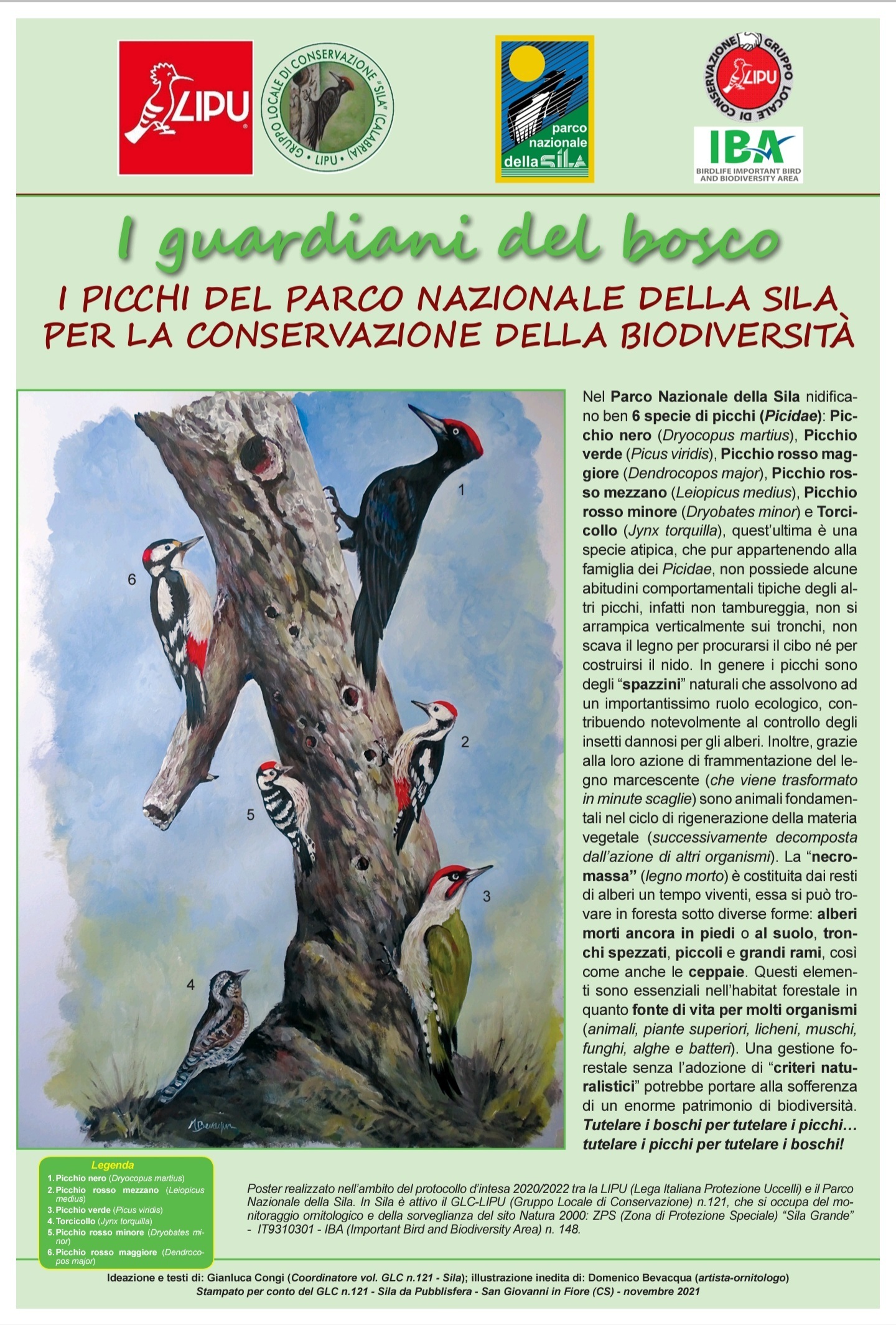 I guardiani del PNS - poster picchi-GLC-SILA-CONGI Gianluca_1