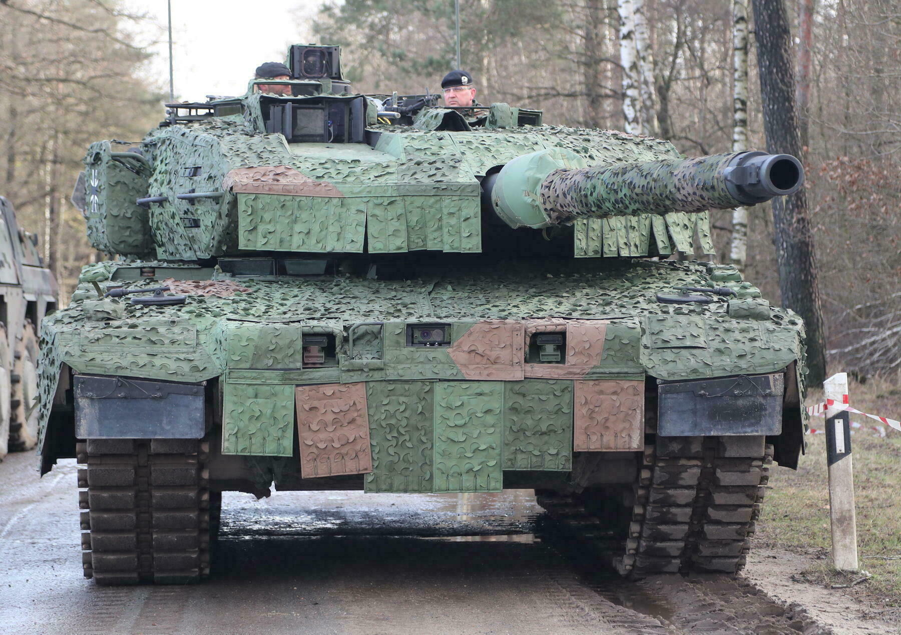 Tank Carro Armato Germania