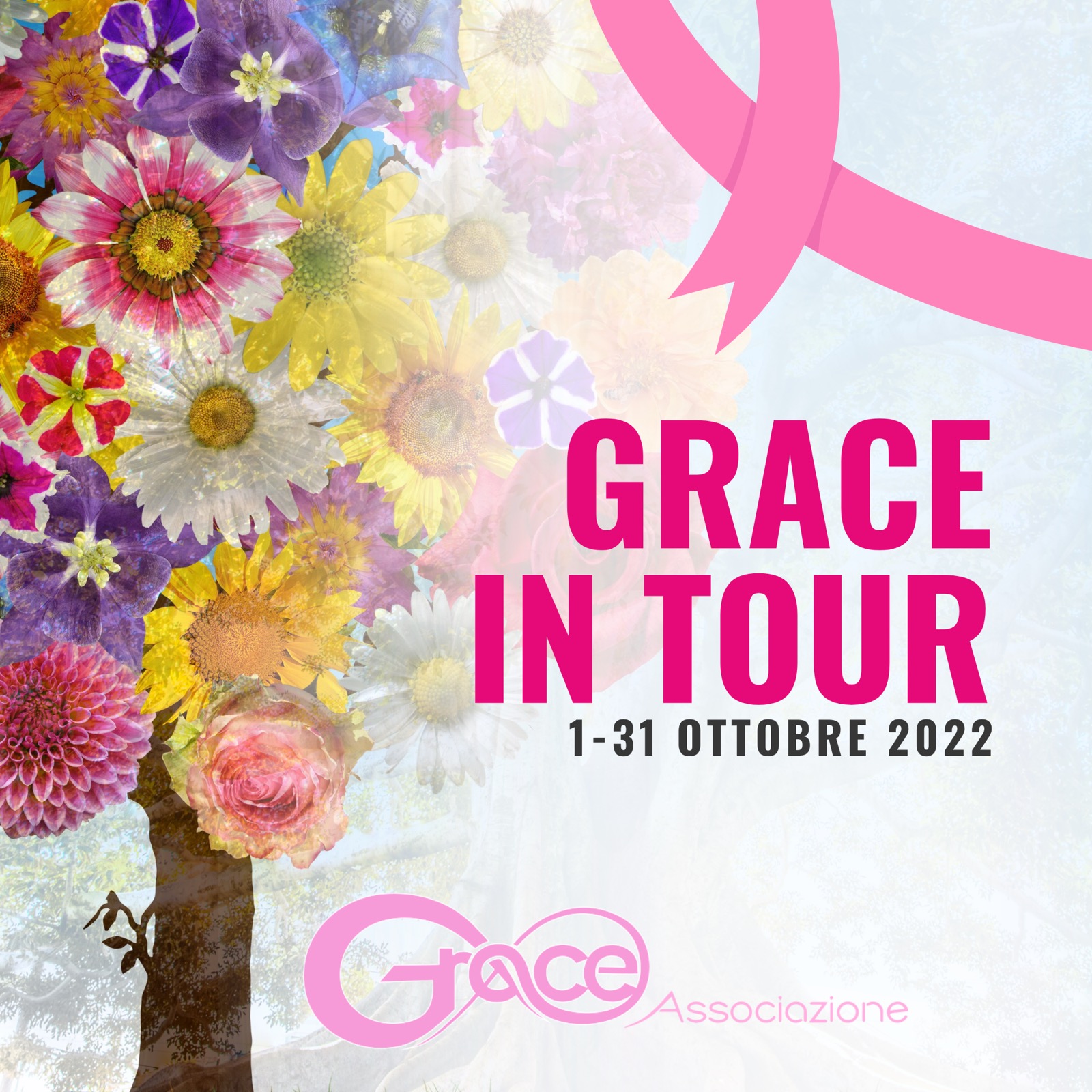 Grace in tour