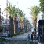 viale san martino