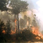 incendio