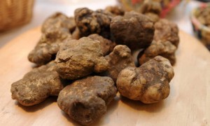 SAN MINIATO:MOSTRA-MERCATO TARTUFO