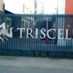 triscele