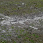 IMG-20130312-WA0001