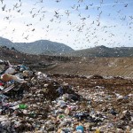 bellolampo_palermo_discarica_72831