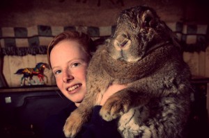 ralph-rabbit-coniglio-tuttacronaca