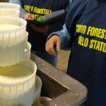 Agroalimentare: controlli corpo forestale, sanzioni per 24 mila euro