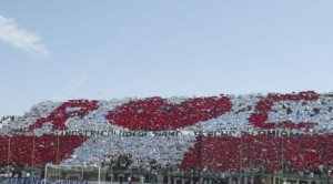 curva sud reggina i nostri colori alziamo perchè ti amiamo