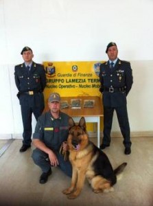 Droga: la Guardia di finanza arresta pusher a Lamezia Terme