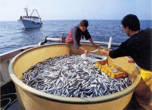 agosto_sagra_sardella_crucoli_calabria_2-460x334