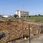 Bonifica 1