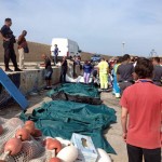 105851286-170ec128-b7c4-448a-95ea-0ed63f2cd69f