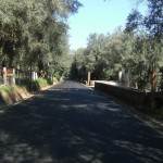 circonvallazione 1