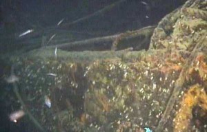 RIFIUTI:RELITTO NAVE;WWF, PER ANNI COPERTI TRAFFICI ILLECITI