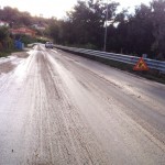ss106 (8)