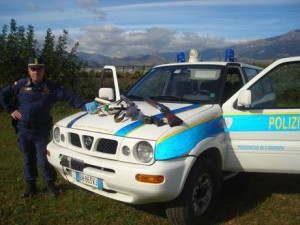 Polizia provinciale Cosenza sequestra tre fucili e denuncia tre bracconieri