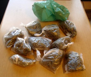 La droga sequestrata