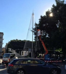 albero messina