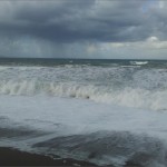 mare forte