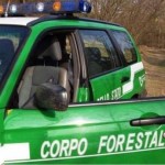 Mezzo del Corpo forestale della Calabria