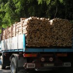 Camion_pali_castagno