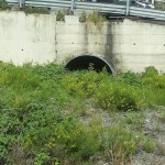 foto torrente S. Filippo sbocco Fiumarello
