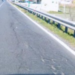 tirrenia