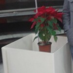 urbano