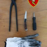 140330 arresto Cucinotta Ventura
