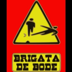 brigata de bode