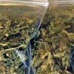 1384095813-pensionata-trova-30-grammi-marijuana-nello-shampoo
