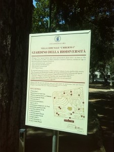 IMG_20140611_103711