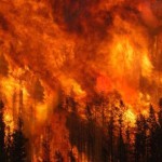 incendio1