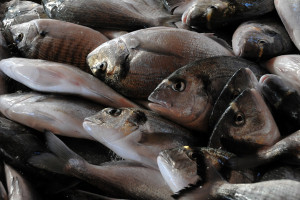 orate